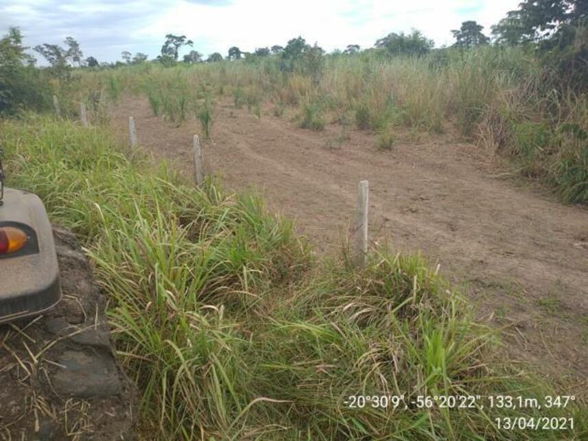 Imagem 4 do Leilão de Fazenda - Zona Rural - Miranda/MS