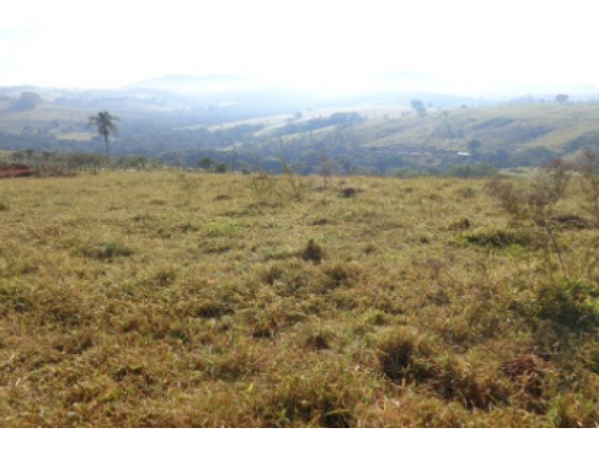 Imagem 9 do Leilão de Área Rural - Zona Rural - Monte Belo/MG