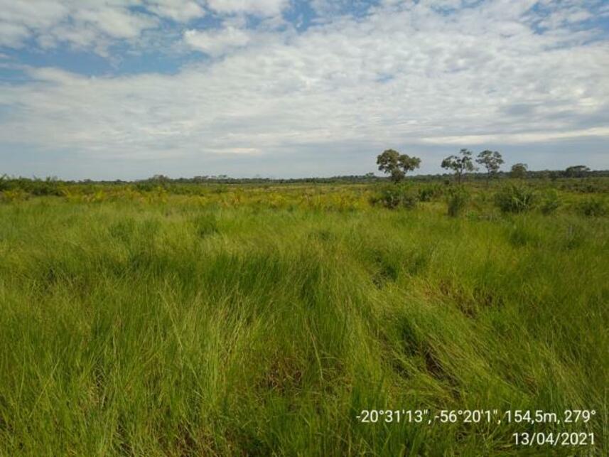 Imagem 12 do Leilão de Fazenda - Zona Rural - Miranda/MS