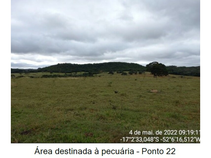 Imagem 19 do Leilão de Área Rural - Zona Rural - Caiapônia/GO