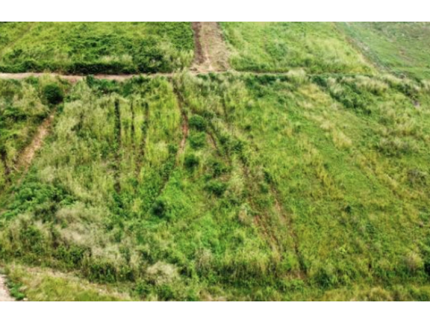 Imagem 4 do Leilão de Terreno - Loteamento Araruna II - Timbaúba/PE