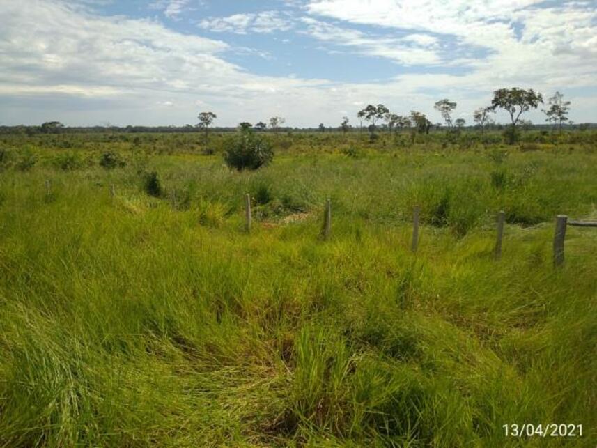Imagem 11 do Leilão de Fazenda - Zona Rural - Miranda/MS