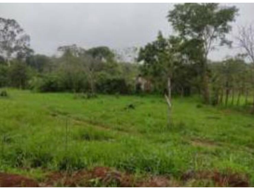 Imagem 17 do Leilão de Terrenos - Chácaras Saia Velha - Cidade Ocidental/GO