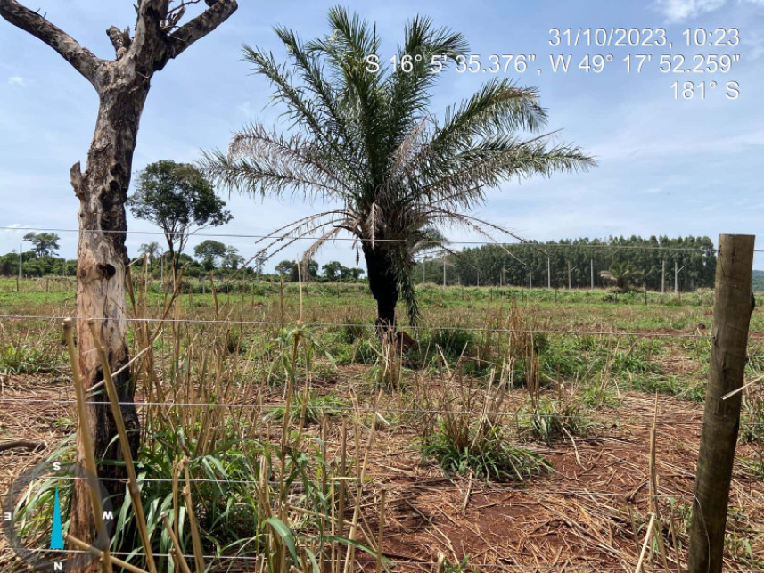 Imagem 4 do Leilão de Terreno - Condomínio das Orquídeas - Petrolina de Goiás/GO