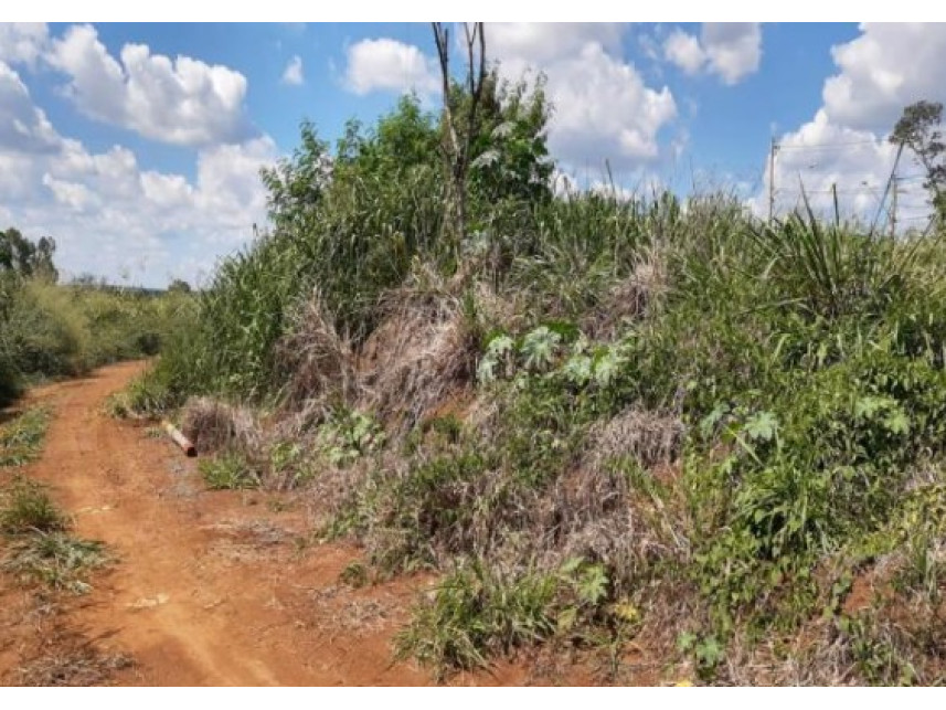 Imagem 2 do Leilão de Terreno - Floresta - Arcos/MG