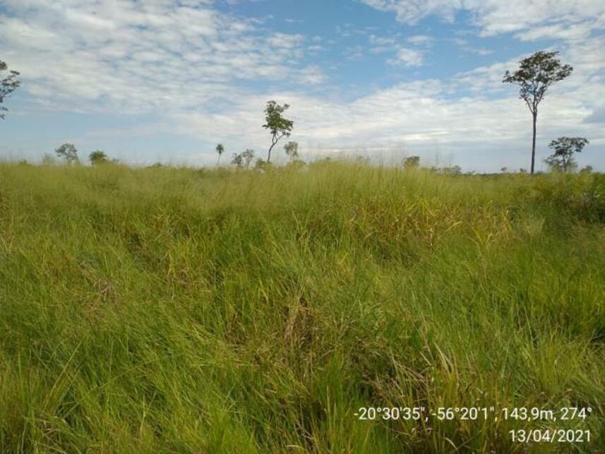 Imagem 19 do Leilão de Fazenda - Zona Rural - Miranda/MS