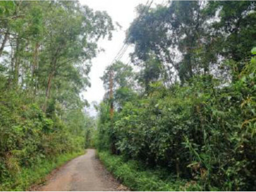 Imagem 4 do Leilão de Terrenos - Serra do Itapety - Mogi das Cruzes/SP