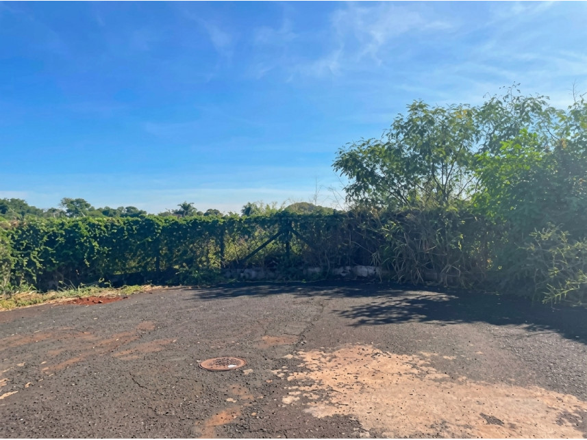 Imagem 1 do Leilão de Terreno - Recreio dos Bandeirantes - Morro Agudo/SP