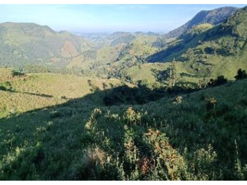 Imagem 3 do Leilão de Área Rural - Zona Rural - Baependi/MG