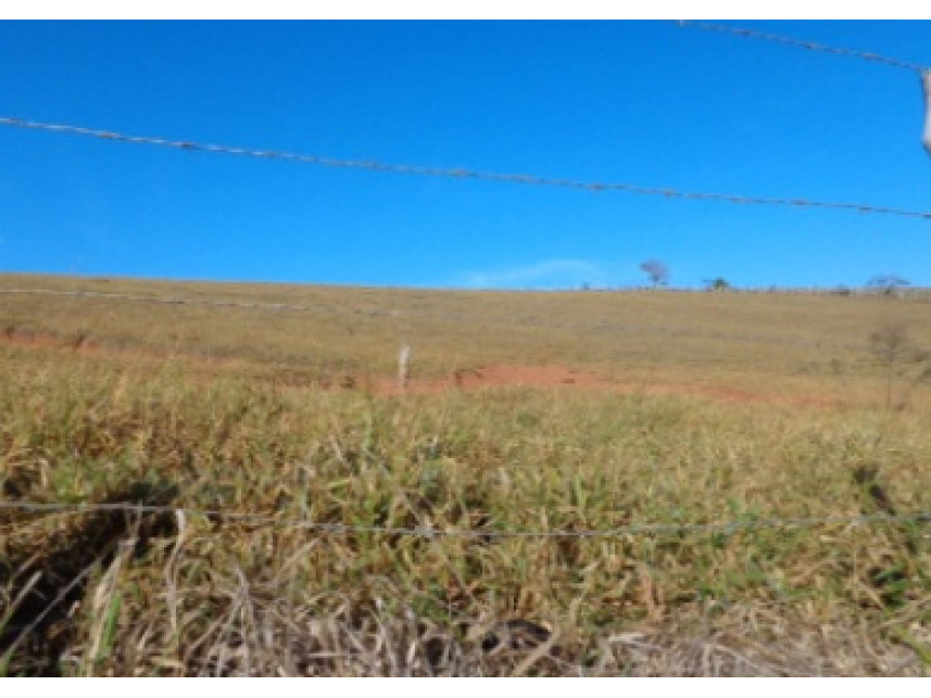 Imagem 6 do Leilão de Área Rural - Zona Rural - Monte Belo/MG