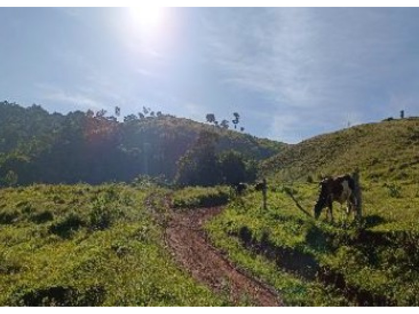 Imagem 7 do Leilão de Área Rural - Zona Rural - Baependi/MG