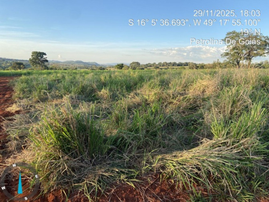 Imagem 5 do Leilão de Terreno - Condomínio das Orquídeas - Petrolina de Goiás/GO