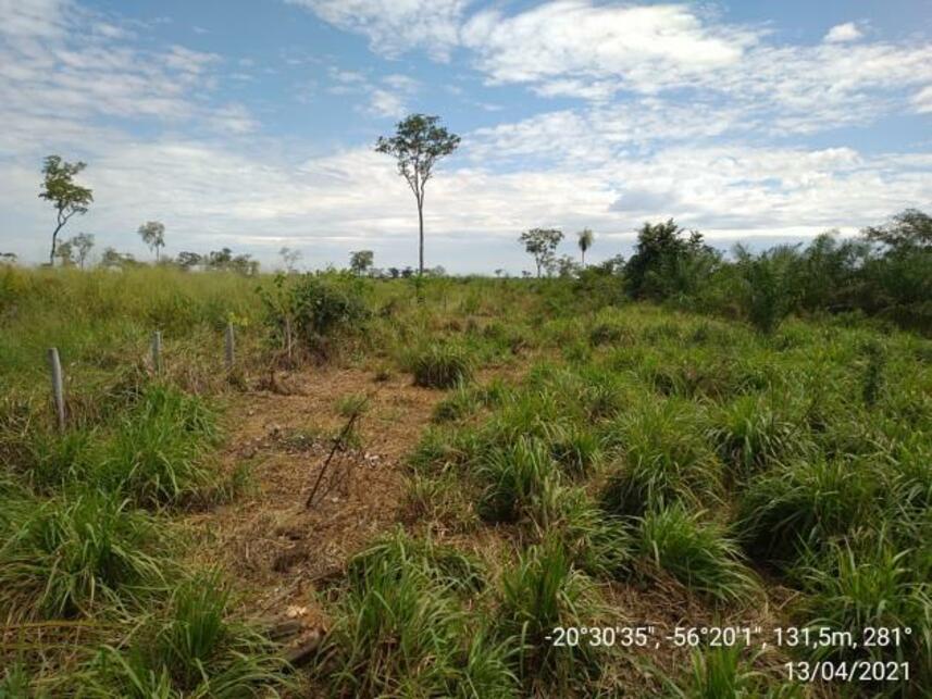 Imagem 22 do Leilão de Fazenda - Zona Rural - Miranda/MS