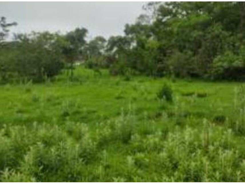 Imagem 1 do Leilão de Terrenos - Chácaras Saia Velha - Cidade Ocidental/GO