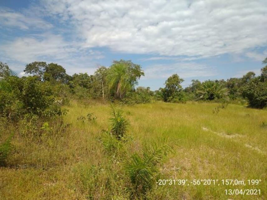 Imagem 6 do Leilão de Fazenda - Zona Rural - Miranda/MS