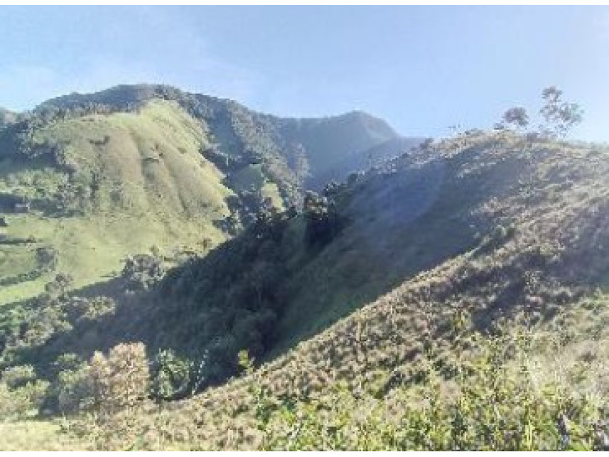 Imagem 9 do Leilão de Área Rural - Zona Rural - Baependi/MG