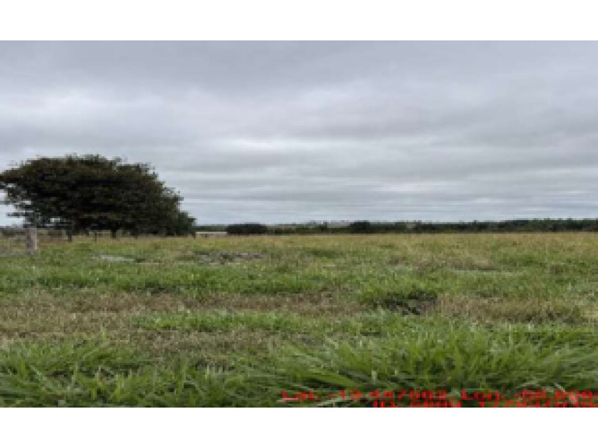 Imagem do Leilão de Área Rural - Expansão Urbana - São José do Rio Claro/MT