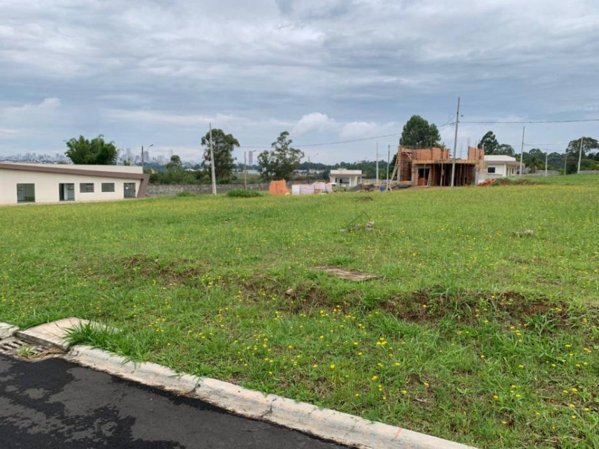 Imagem 3 do Leilão de Terreno - Colônia Dona Luíza - Ponta Grossa/PR