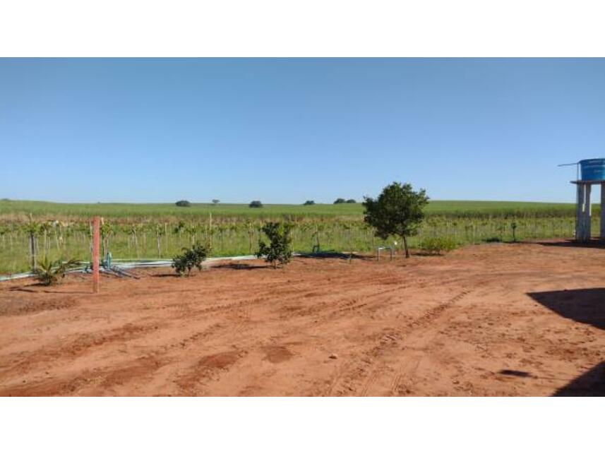 Imagem 20 do Leilão de Área Rural - Gleba Pau Dalho - São João do Pau d'Alho/SP