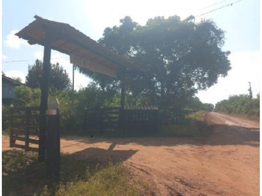Imagem 4 do Leilão de Área Rural - Zona Rural - Moju/PA