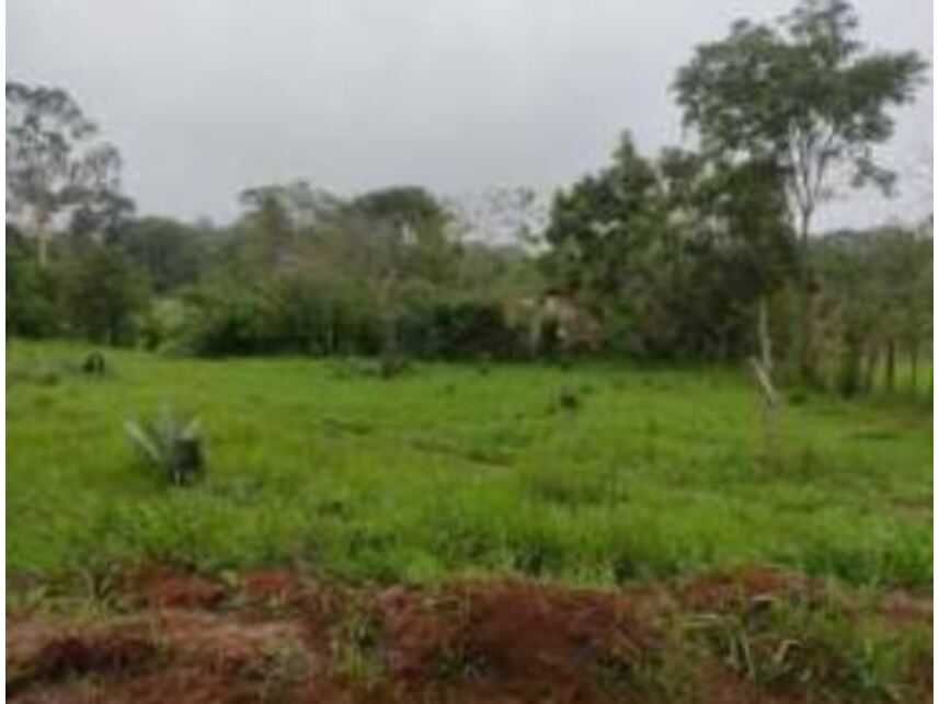Imagem 15 do Leilão de Terrenos - Chácaras Saia Velha - Cidade Ocidental/GO