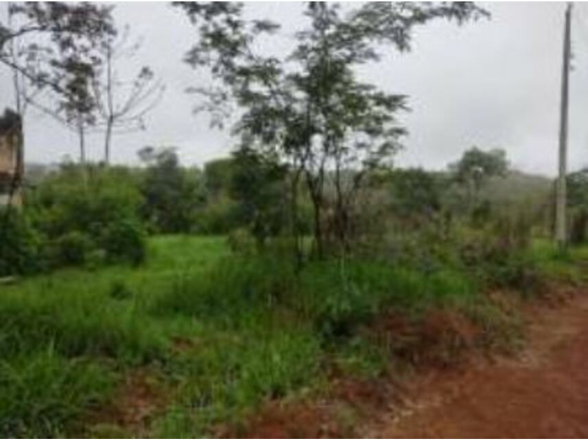 Imagem 11 do Leilão de Terrenos - Chácaras Saia Velha - Cidade Ocidental/GO