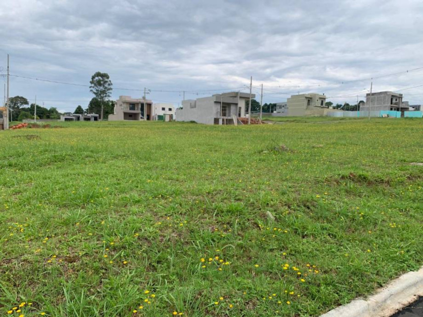 Imagem 2 do Leilão de Terreno - Colônia Dona Luíza - Ponta Grossa/PR