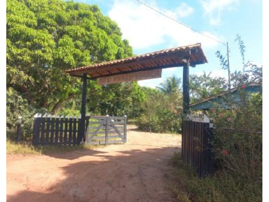 Imagem 2 do Leilão de Área Rural - Zona Rural - Moju/PA