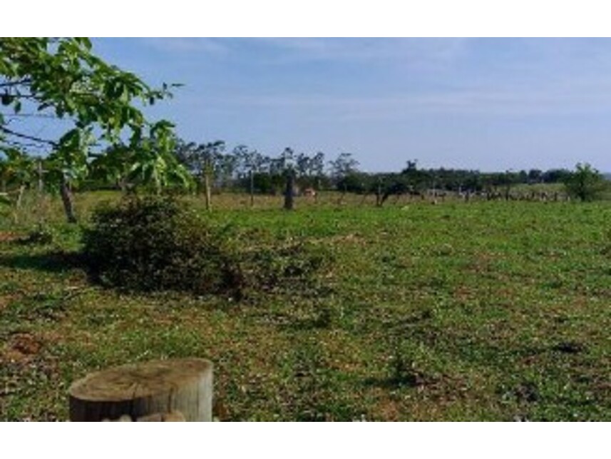 Imagem 8 do Leilão de Terreno - Guaicara - Presidente Bernardes/SP