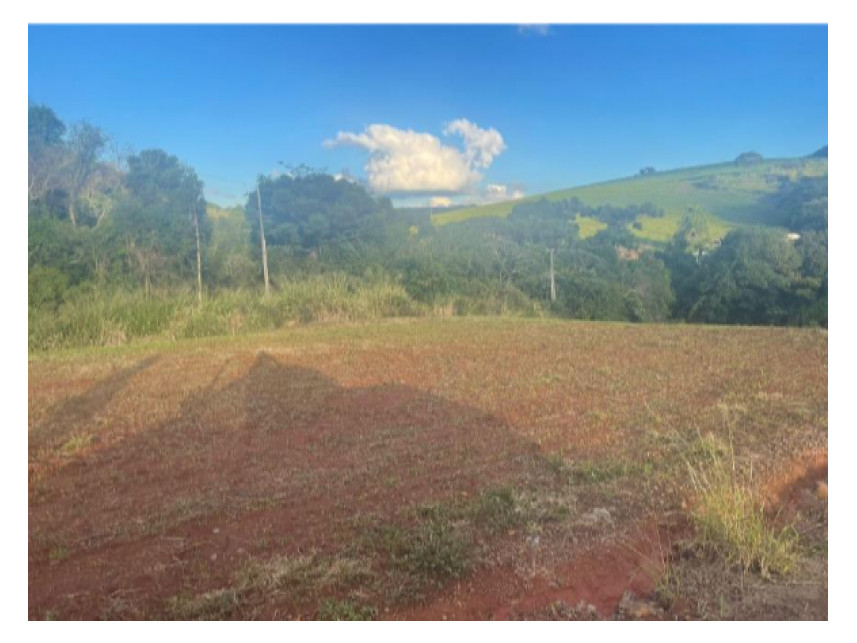 Imagem 4 do Leilão de Área Rural - Rural - Pitanga/PR