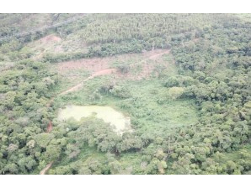 Imagem 2 do Leilão de Fazenda - Zona Rural - Teófilo Otoni/MG
