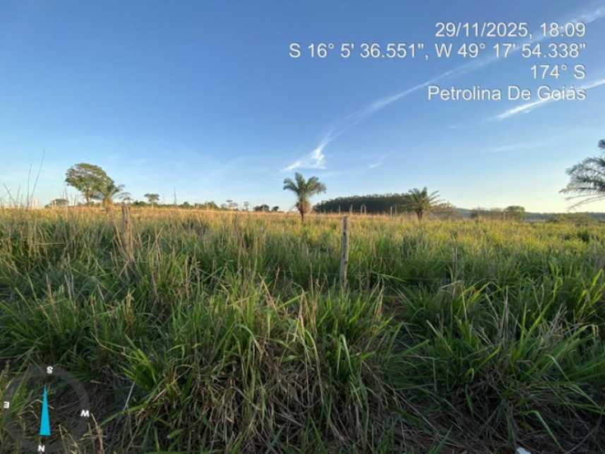 Imagem 4 do Leilão de Terreno - Condomínio das Orquídeas - Petrolina de Goiás/GO