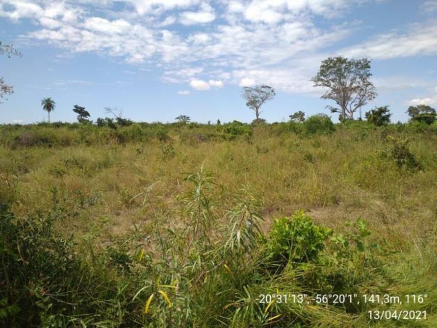 Imagem 14 do Leilão de Fazenda - Zona Rural - Miranda/MS