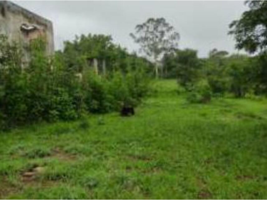Imagem 10 do Leilão de Terrenos - Chácaras Saia Velha - Cidade Ocidental/GO