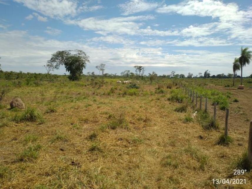 Imagem 25 do Leilão de Fazenda - Zona Rural - Miranda/MS