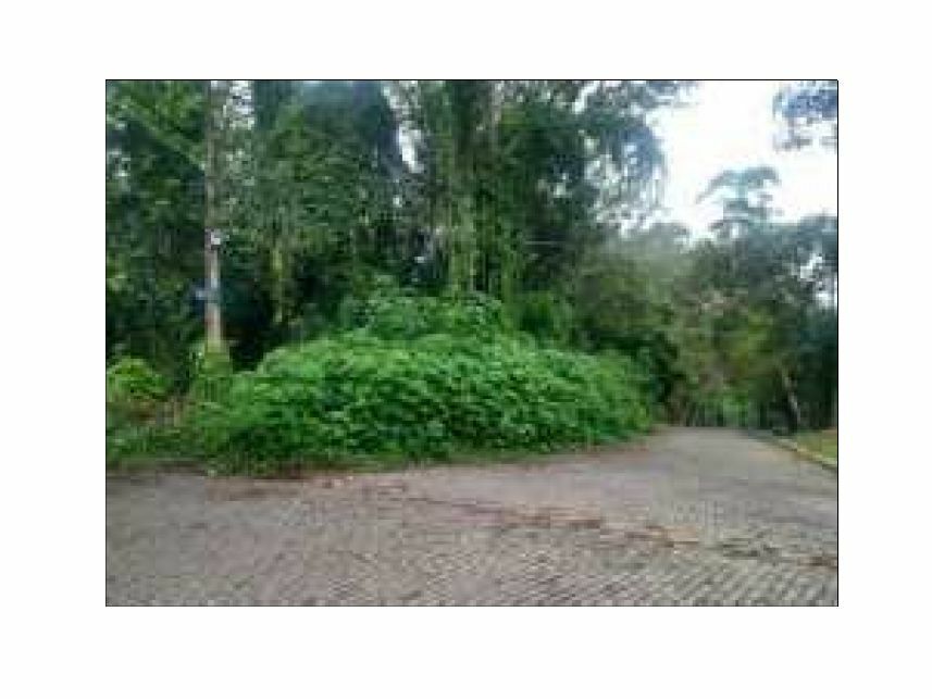 Imagem 3 do Leilão de Terreno - Sete Praias - São Paulo/SP