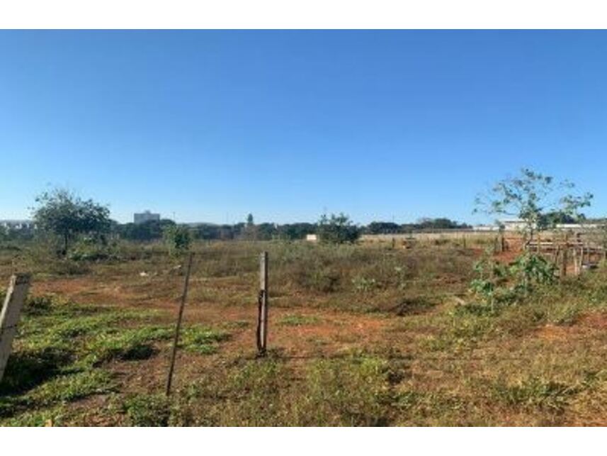 Imagem 6 do Leilão de Terreno - Jardim Novo Mundo - Goiânia/GO