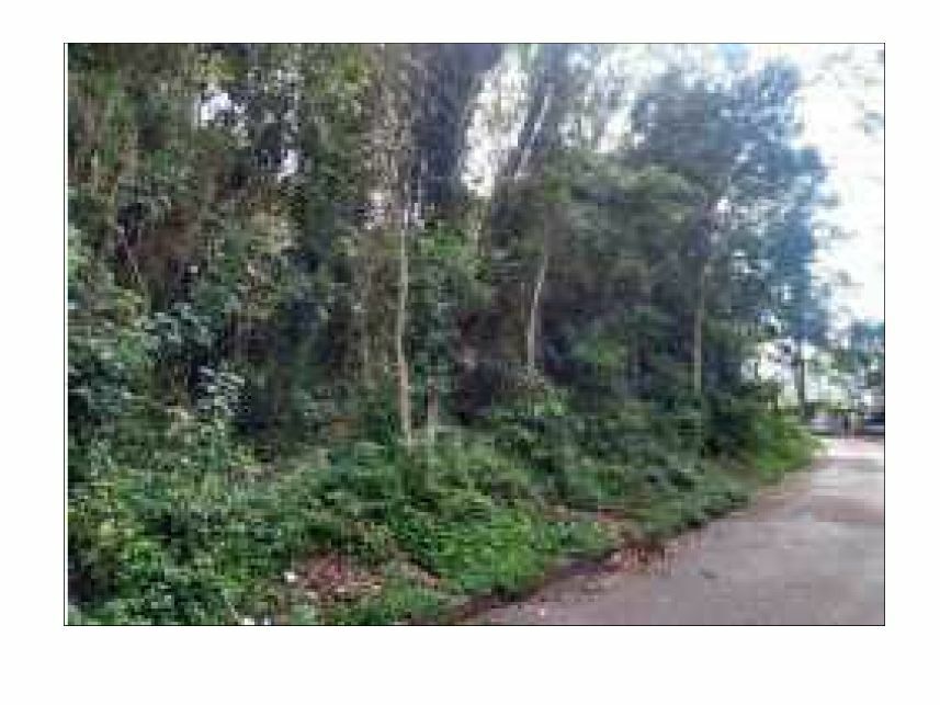 Imagem 2 do Leilão de Terreno - Sete Praias - São Paulo/SP