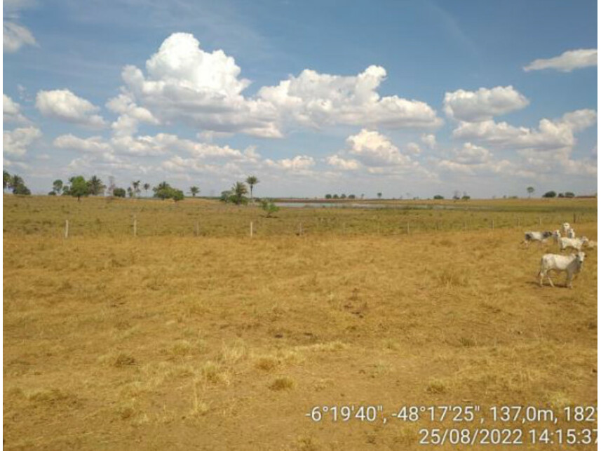 Imagem 2 do Leilão de Área Rural - Zona Rural - Ananás/TO