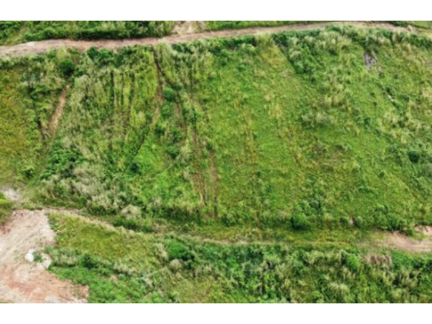 Imagem 3 do Leilão de Terreno - Loteamento Araruna II - Timbaúba/PE
