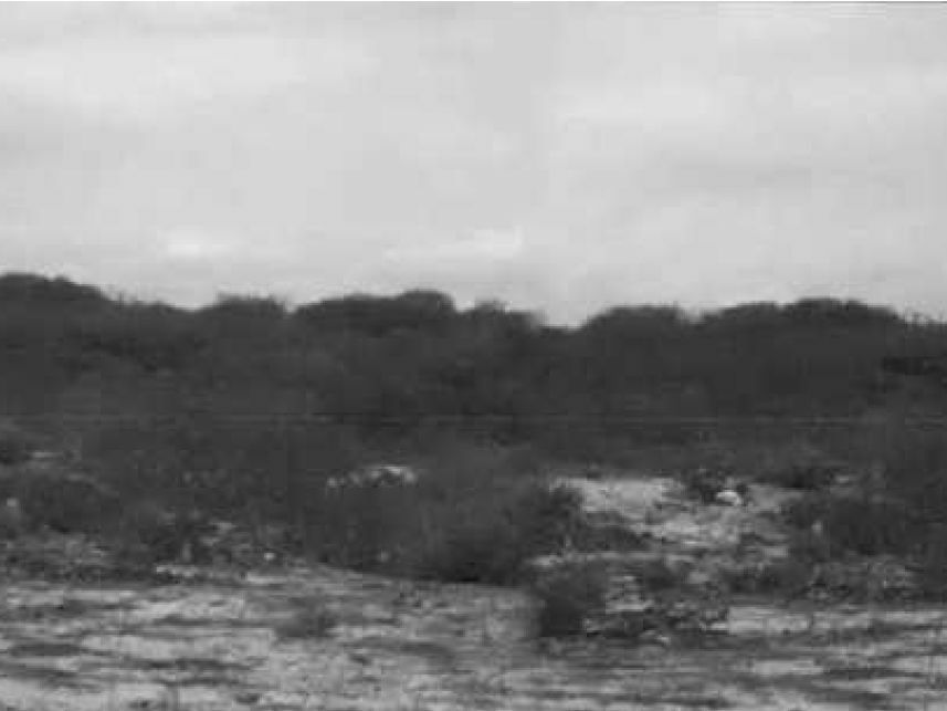 Imagem 2 do Leilão de Terrenos - Entre as Vilas do Caponga e Balbino - Cascavel/CE