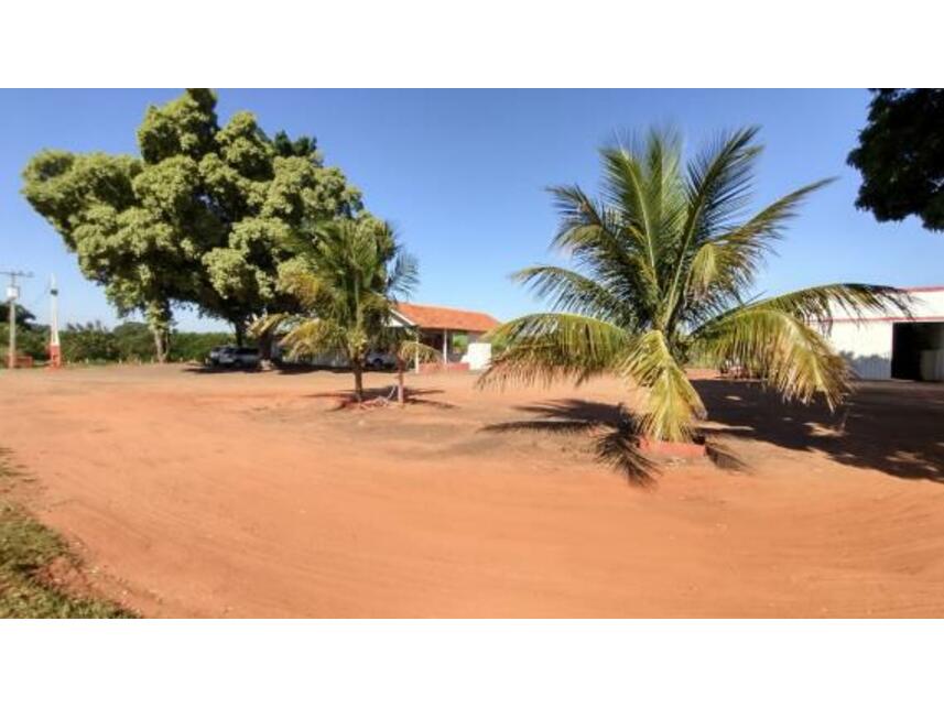 Imagem 12 do Leilão de Área Rural - Gleba Pau Dalho - São João do Pau d'Alho/SP