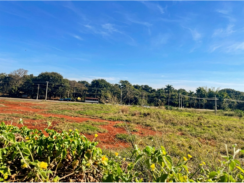 Imagem 2 do Leilão de Terreno - Recreio dos Bandeirantes - Morro Agudo/SP