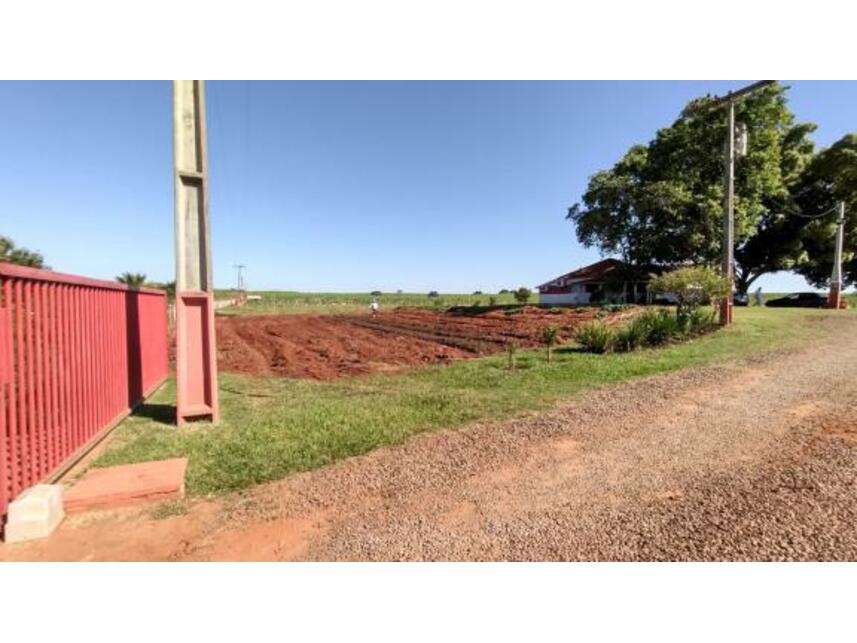 Imagem 9 do Leilão de Área Rural - Gleba Pau Dalho - São João do Pau d'Alho/SP