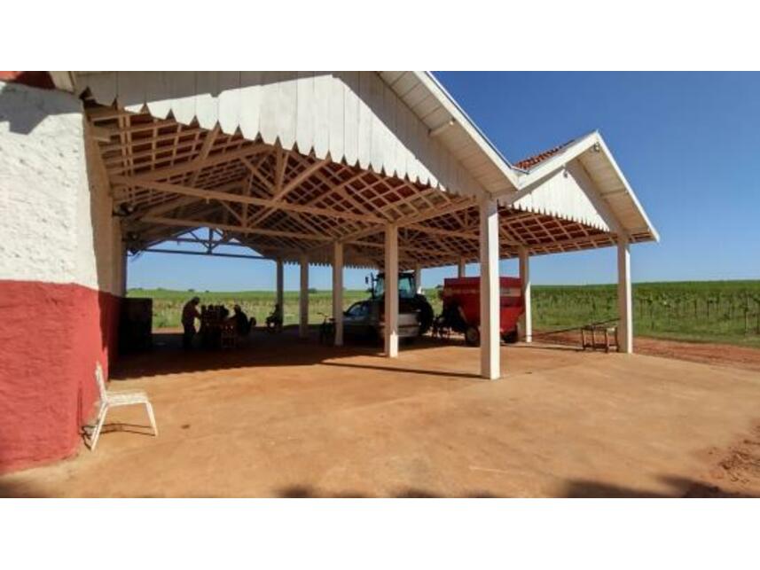 Imagem 17 do Leilão de Área Rural - Gleba Pau Dalho - São João do Pau d'Alho/SP