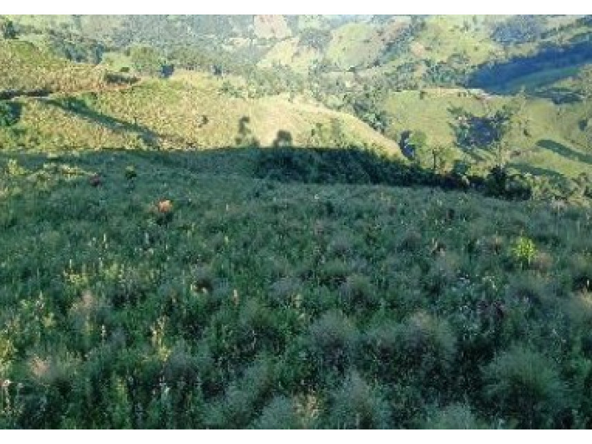 Imagem 5 do Leilão de Área Rural - Zona Rural - Baependi/MG