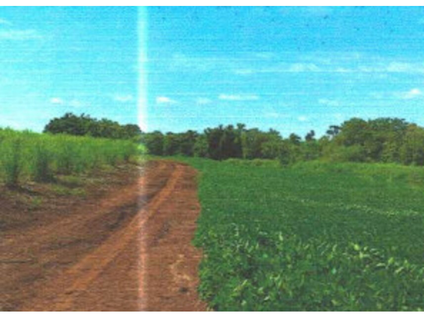 Imagem 2 do Leilão de Terreno - Barra do Ribeirão Pau D'Alho, na Fazenda Pau D'Alho - Palmital/SP