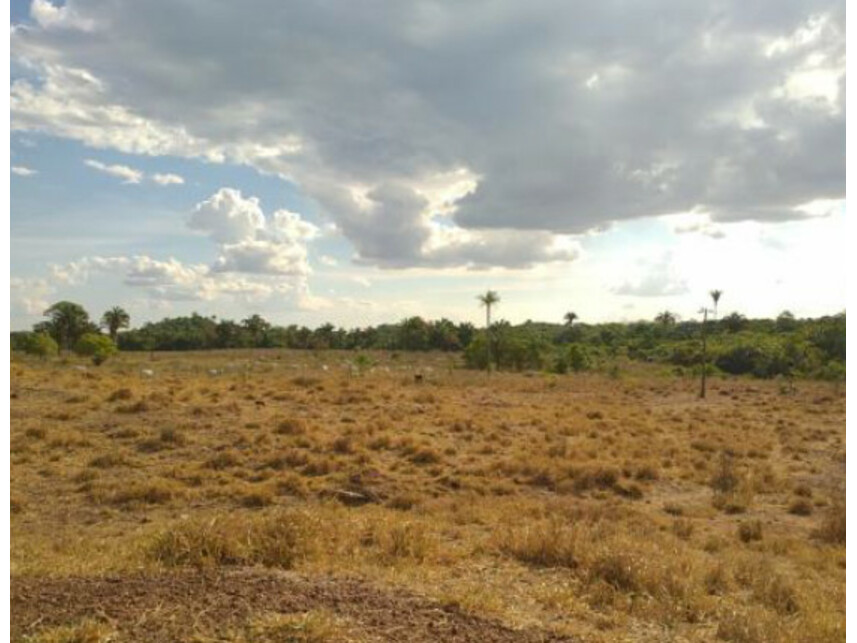 Imagem 17 do Leilão de Área Rural - Zona Rural - Ananás/TO