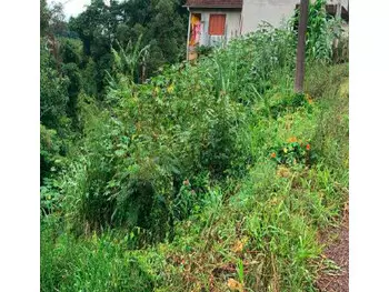 Terreno em leilão em JOACABA/SC a partir de R$ 95.200 | Lance Rápido