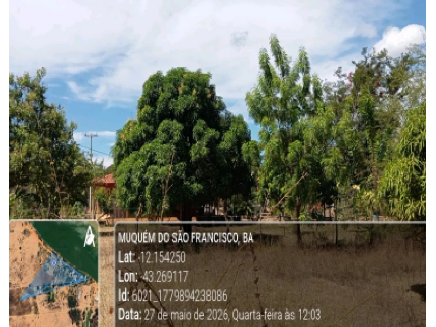 Estrada Municipal, s/nº, Zona Rural, Muquém de São Francisco, BA